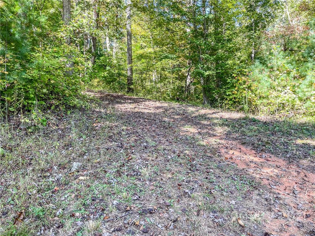 555 Boyd Road, Unit 3 Leicester, NC 28748 - Photo 19 of 20 a view of a yard with a tree