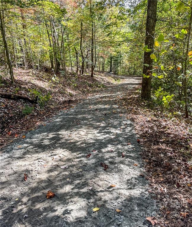 555 Boyd Road, Unit 3 Leicester, NC 28748 - Photo 20 of 20 a view of a yard with large trees