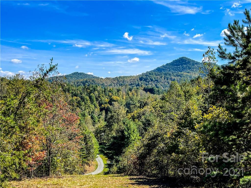 555 Boyd Road, Unit 3 Leicester, NC 28748 - Photo 2 of 20 a view of a city