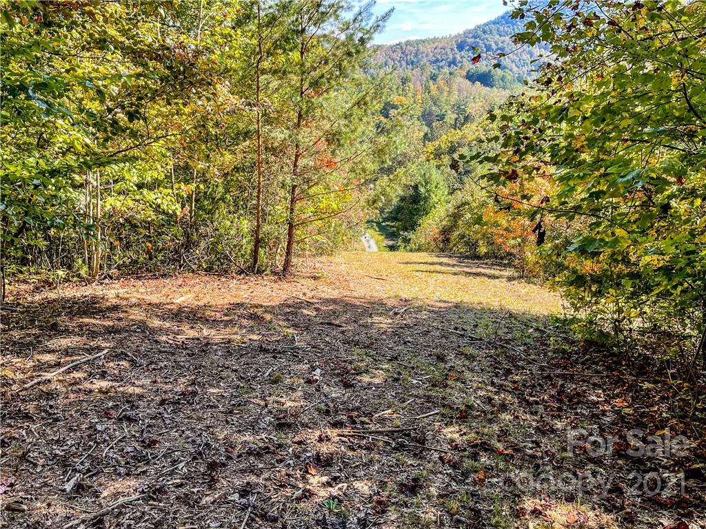 555 Boyd Road, Unit 3 Leicester, NC 28748 - Photo 4 of 20 a view of a yard with a tree