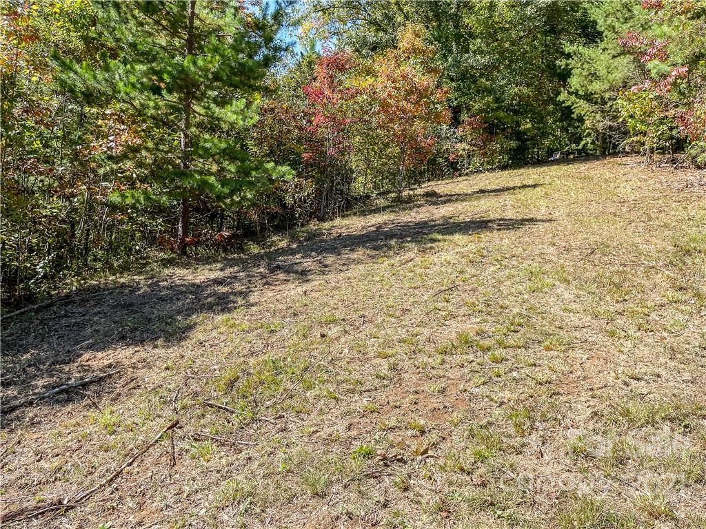 555 Boyd Road, Unit 3 Leicester, NC 28748 - Photo 6 of 20 a view of a yard with a tree