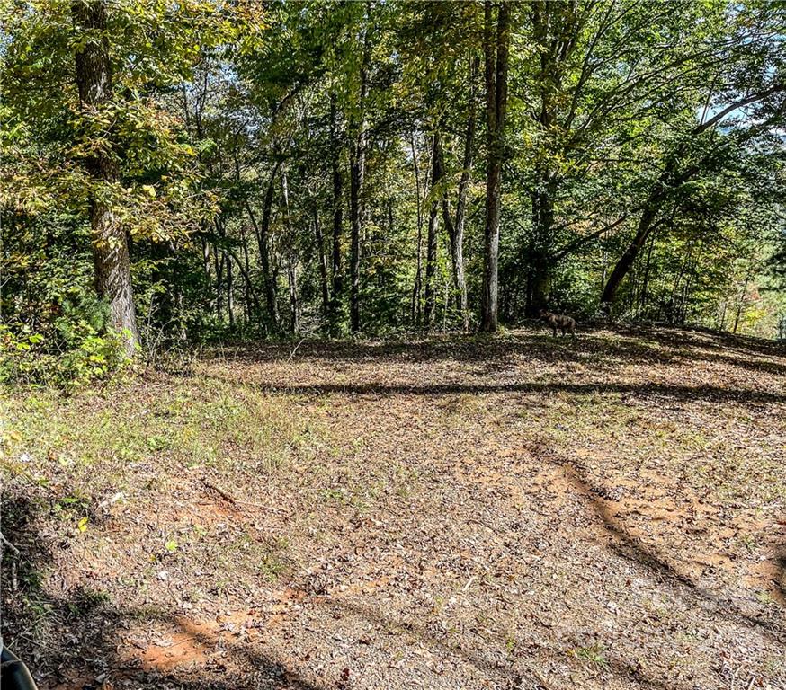 555 Boyd Road, Unit 3 Leicester, NC 28748 - Photo 8 of 20 a view of a yard with a tree