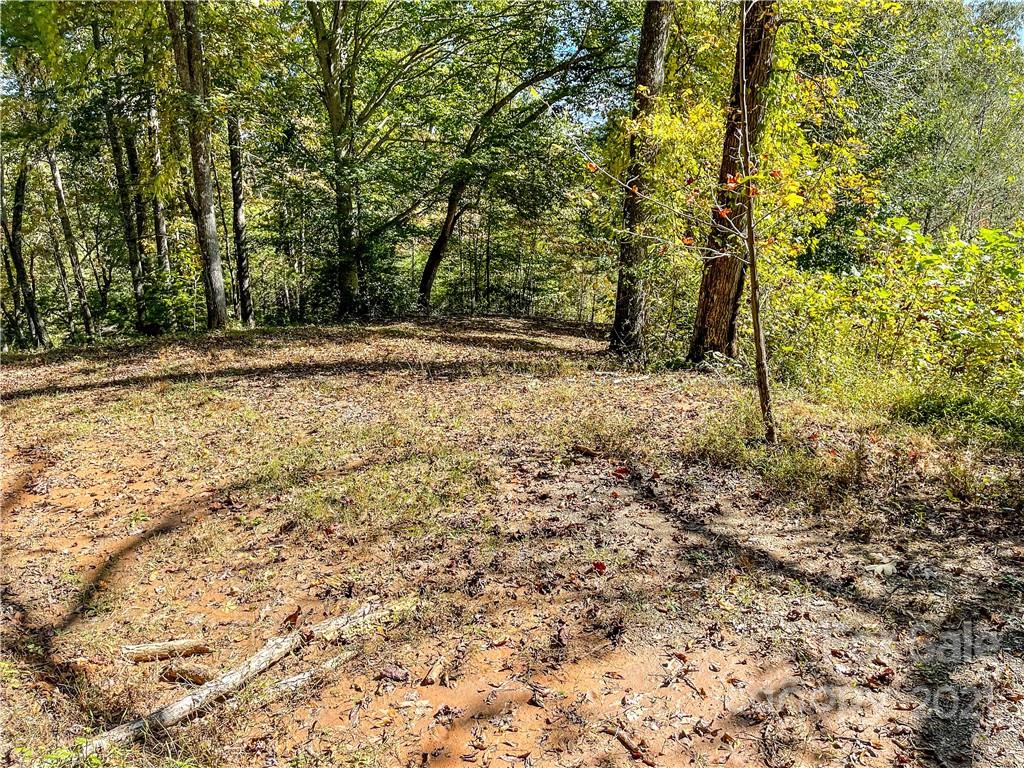 555 Boyd Road, Unit 3 Leicester, NC 28748 - Photo 9 of 20 a view of outdoor space and yard