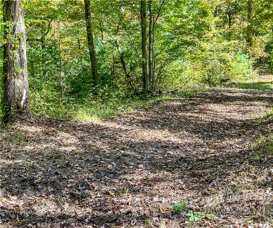 555 Boyd Road, Unit 3 Leicester, NC 28748 - Photo 10 of 20 a view of a yard with plants and large trees