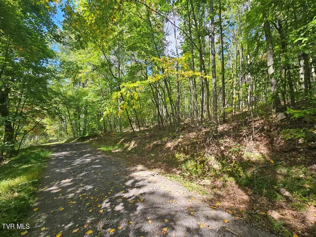 $25,000 | Lot 7 Wildflower Drive, Unit 7, Bastian, VA 24314
