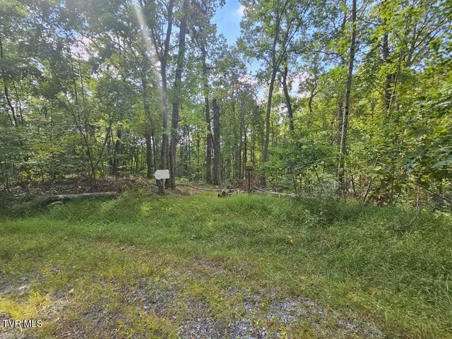 $25,000 | Lot 7 Wildflower Drive, Unit 7, Bastian, VA 24314