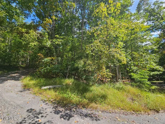 $25,000 | Lot 7 Wildflower Drive, Unit 7, Bastian, VA 24314