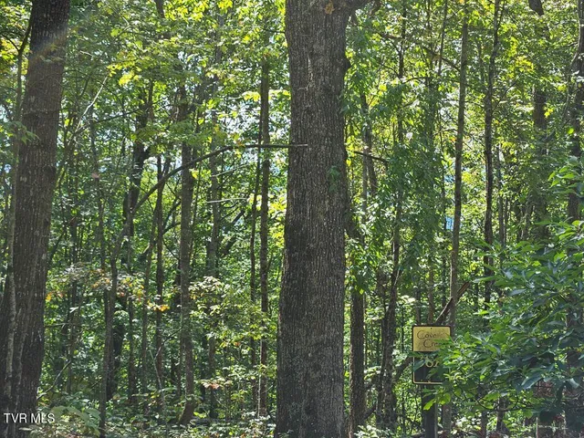 $25,000 | Lot 7 Wildflower Drive, Unit 7, Bastian, VA 24314