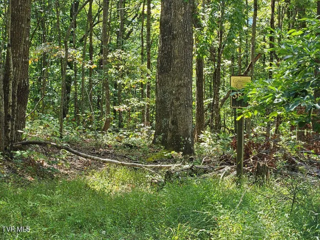 $25,000 | Lot 7 Wildflower Drive, Unit 7, Bastian, VA 24314