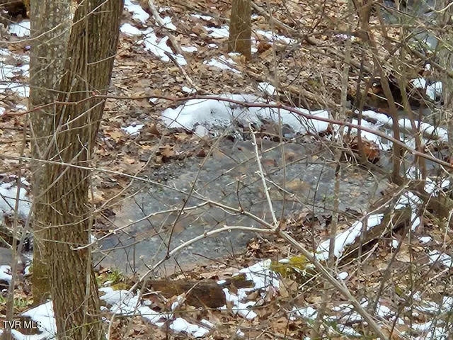 $25,000 | Lot 7 Wildflower Drive, Unit 7, Bastian, VA 24314