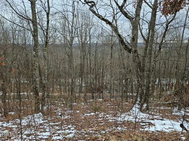 $25,000 | Lot 7 Wildflower Drive, Unit 7, Bastian, VA 24314