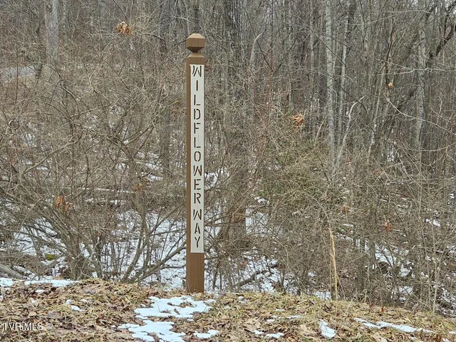 $25,000 | Lot 7 Wildflower Drive, Unit 7, Bastian, VA 24314