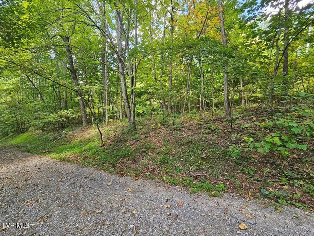 $25,000 | Lot 7 Wildflower Drive, Unit 7, Bastian, VA 24314