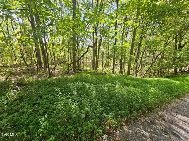 $25,000 | Lot 7 Wildflower Drive, Unit 7, Bastian, VA 24314
