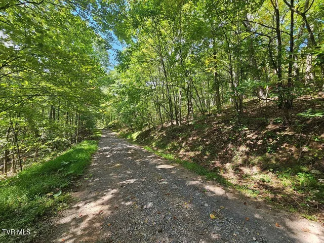 $25,000 | Lot 7 Wildflower Drive, Unit 7, Bastian, VA 24314