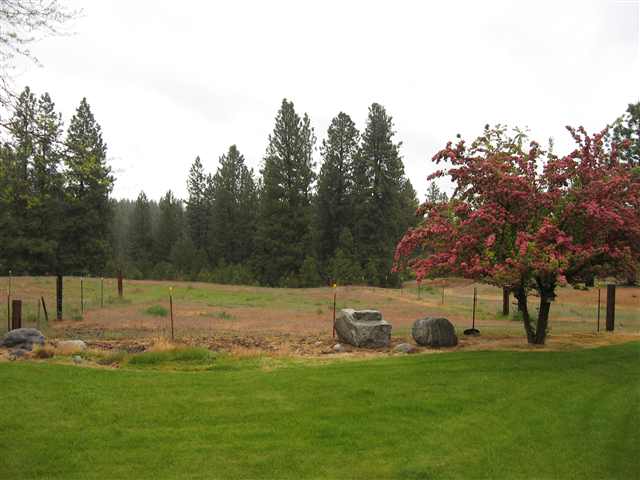 3729 East Center Road Mead, WA 99021 - Photo 9 of 9