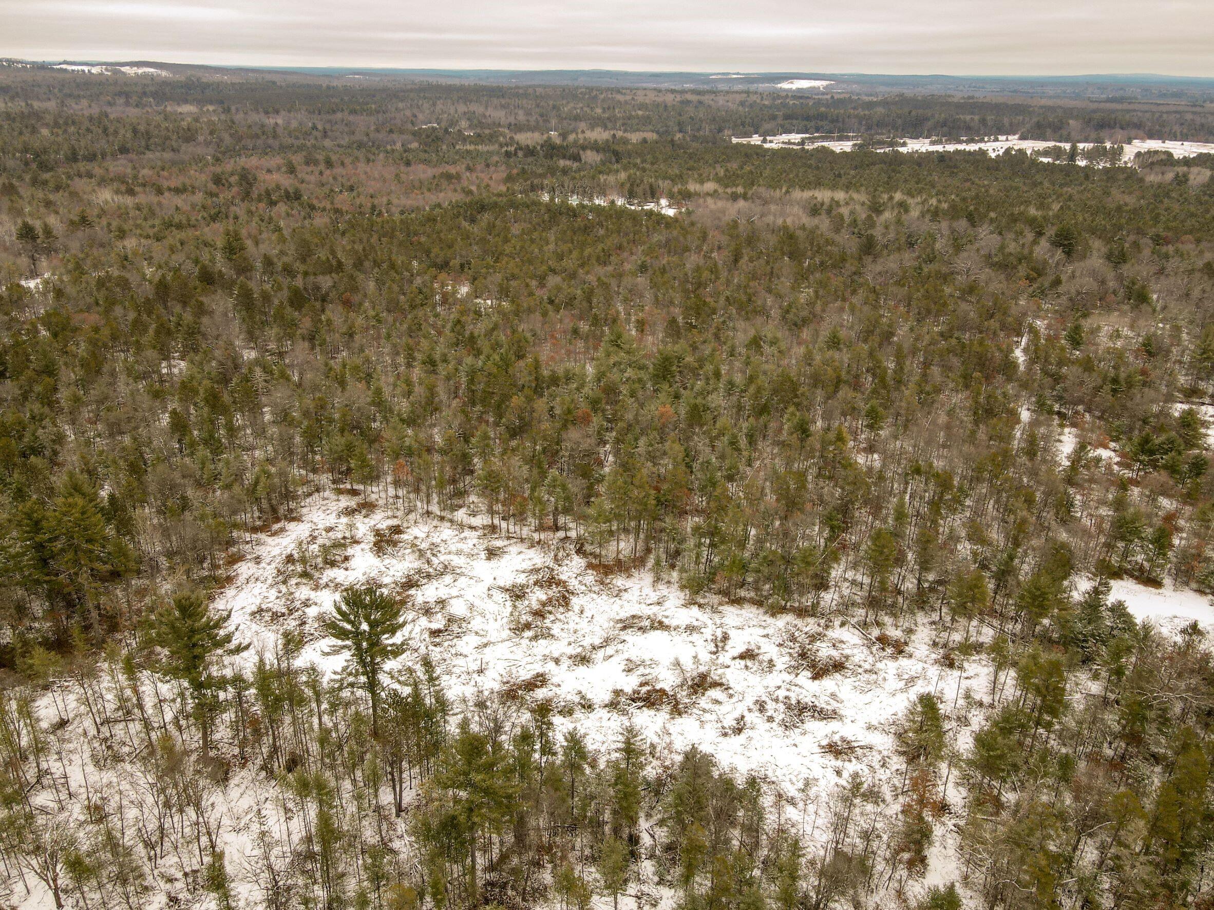 0 South Grayling Road Roscommon, MI 48653 - Photo 10 of 10 Gallery Image 10