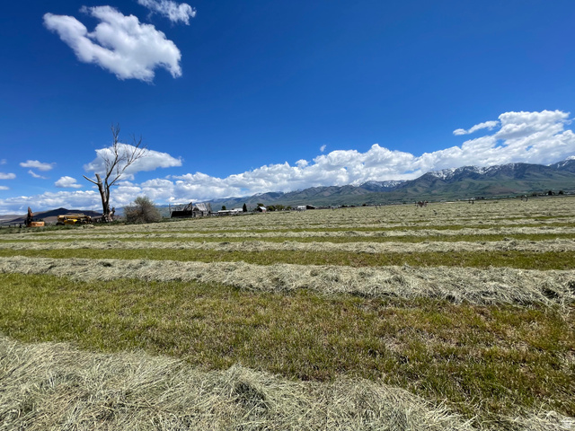 750 North Main Street Lewiston, UT 84320 - Photo 3 of 9 Expansive agricultural field with cut hay rows, surrounded by distant mountains with snow-capped peaks