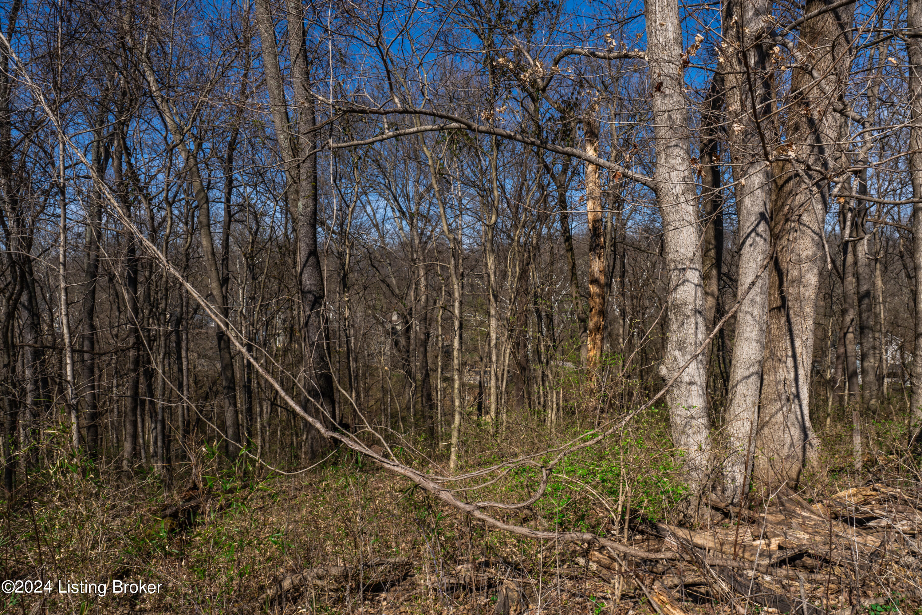2511 Woodside Road Louisville, KY 40207 - Photo 74 of 82 2511-Woodside-Rd_065