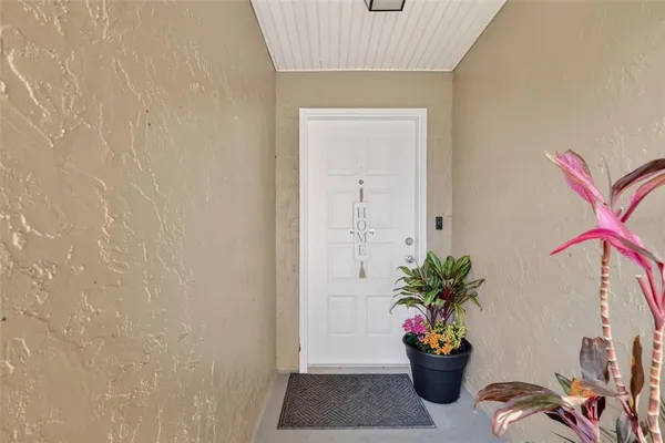 a potted plant sitting in front of a house