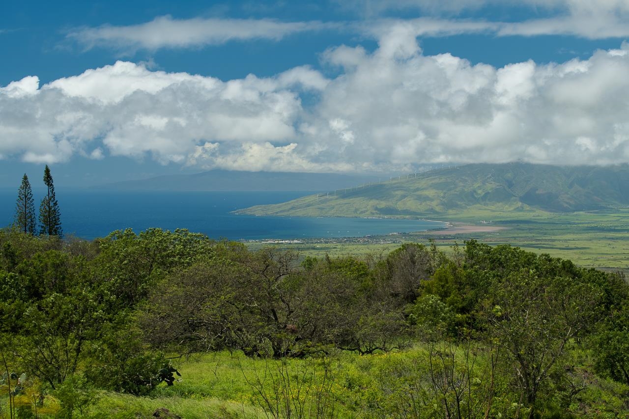 Undisclosed Address Kula, HI 96790 - Photo 14 of 50 a view of a lake view with houses in back
