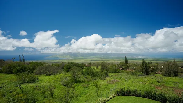 a view of a lake and green space