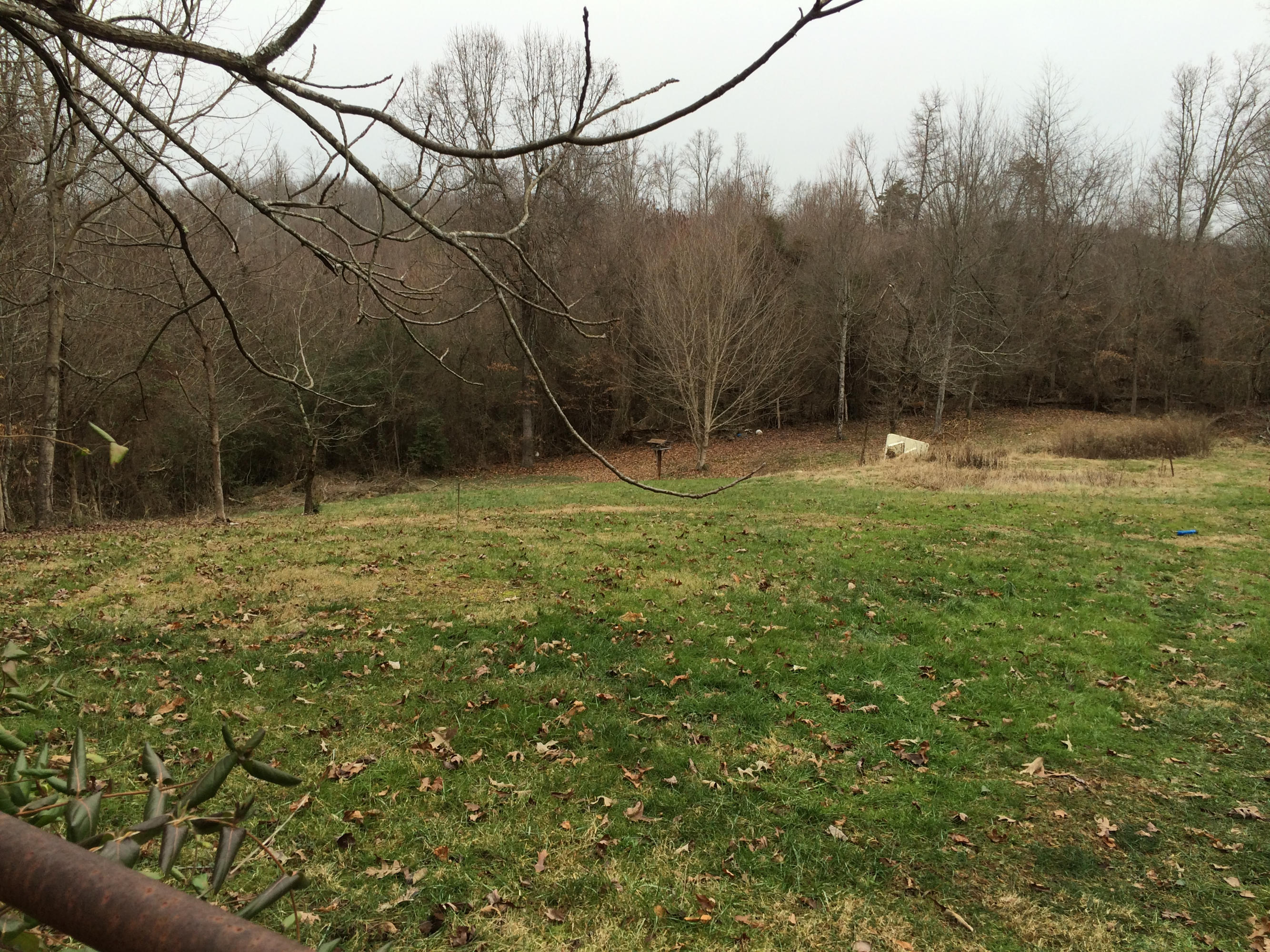 6627 Cate Road Powell, TN 37849 - Photo 3 of 13 Cate Road beautiful property