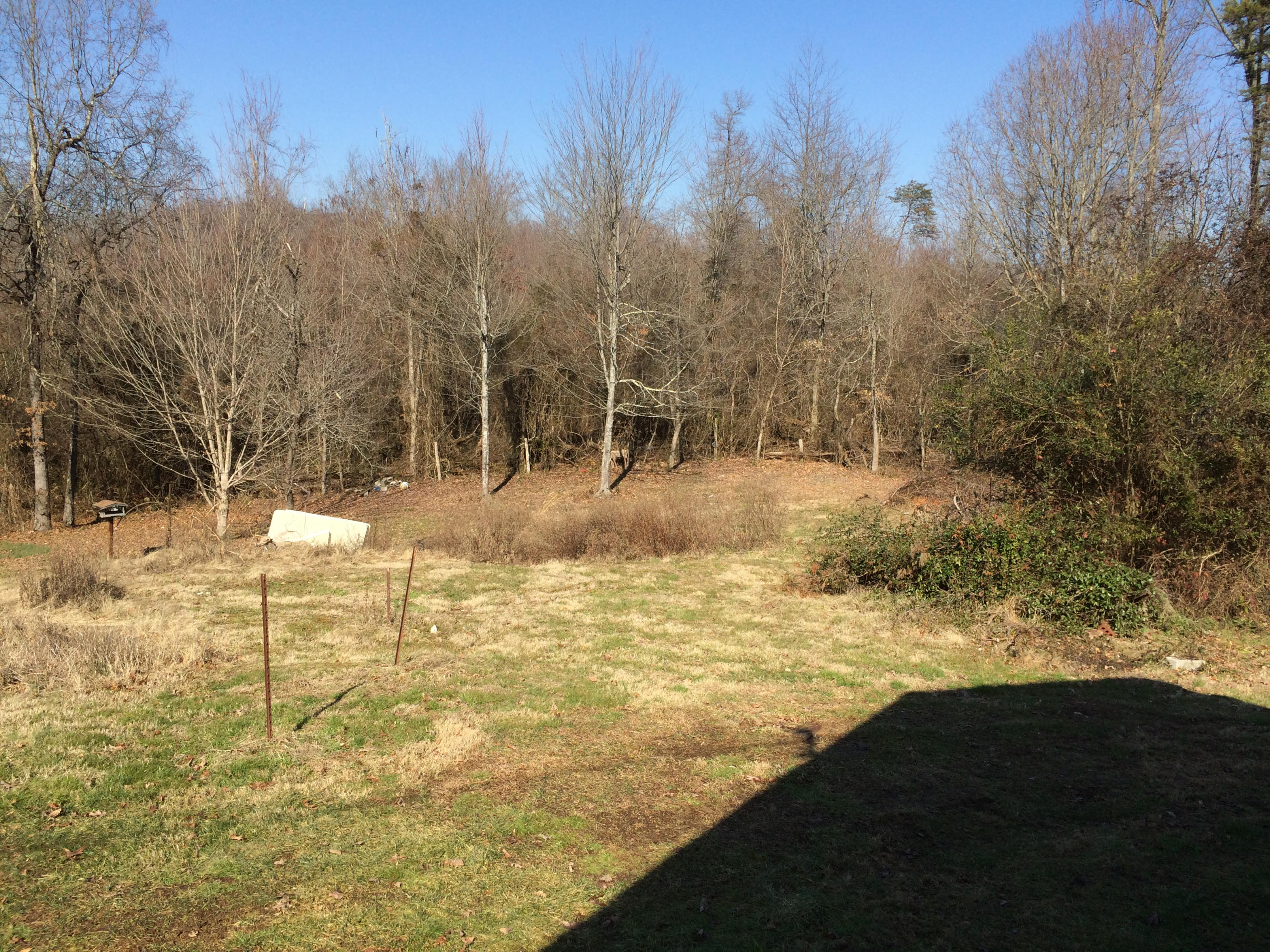 6627 Cate Road Powell, TN 37849 - Photo 8 of 13 Cate Road side yard