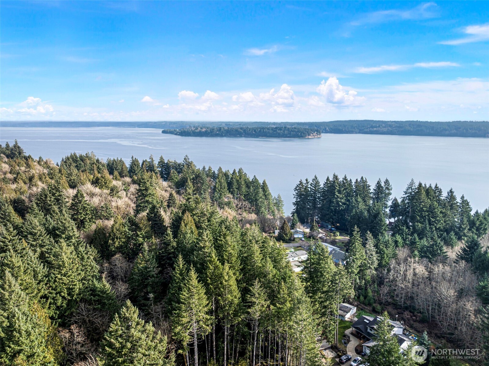 721 East McMickin Road Shelton, WA 98584 - Photo 2 of 38 a view of a lake in middle of forest