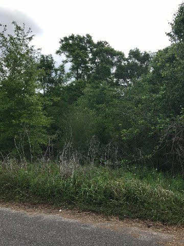 30892 Walling Road Daphne, AL 36527 - Photo 1 of 2