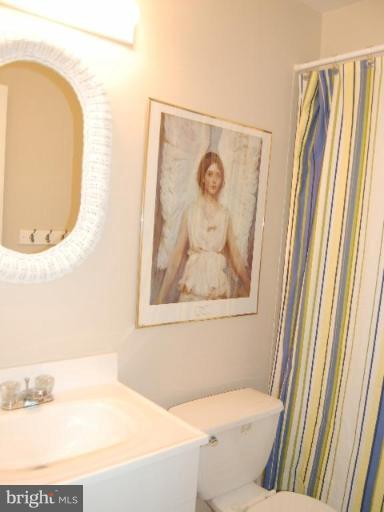 1326 Vintage Place Reston, VA 20194 - Photo 14 of 20 Bath #3