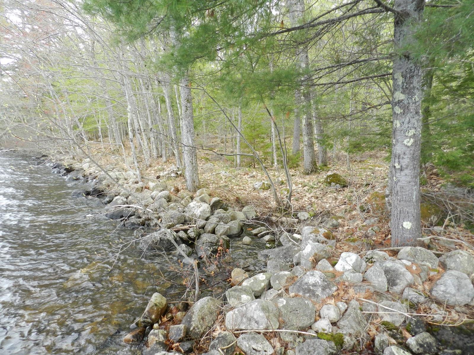0 Bove Road Naples, ME 04055 - Photo 3 of 14 DSCN7437_1600x1200