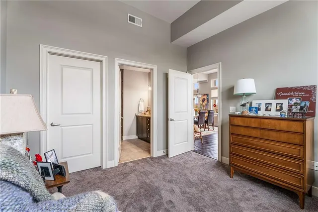 a bed room with a bed and a walk in closet