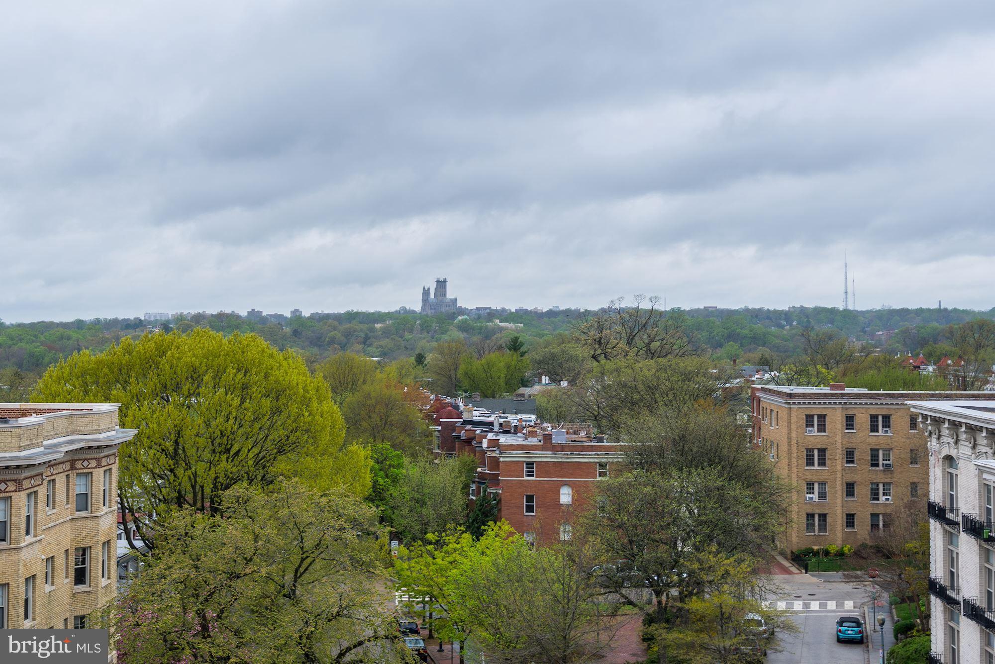 1673 Park Road Northwest, Unit 505 Washington, DC 20010 - Photo 16 of 17 a view of a city from a lake