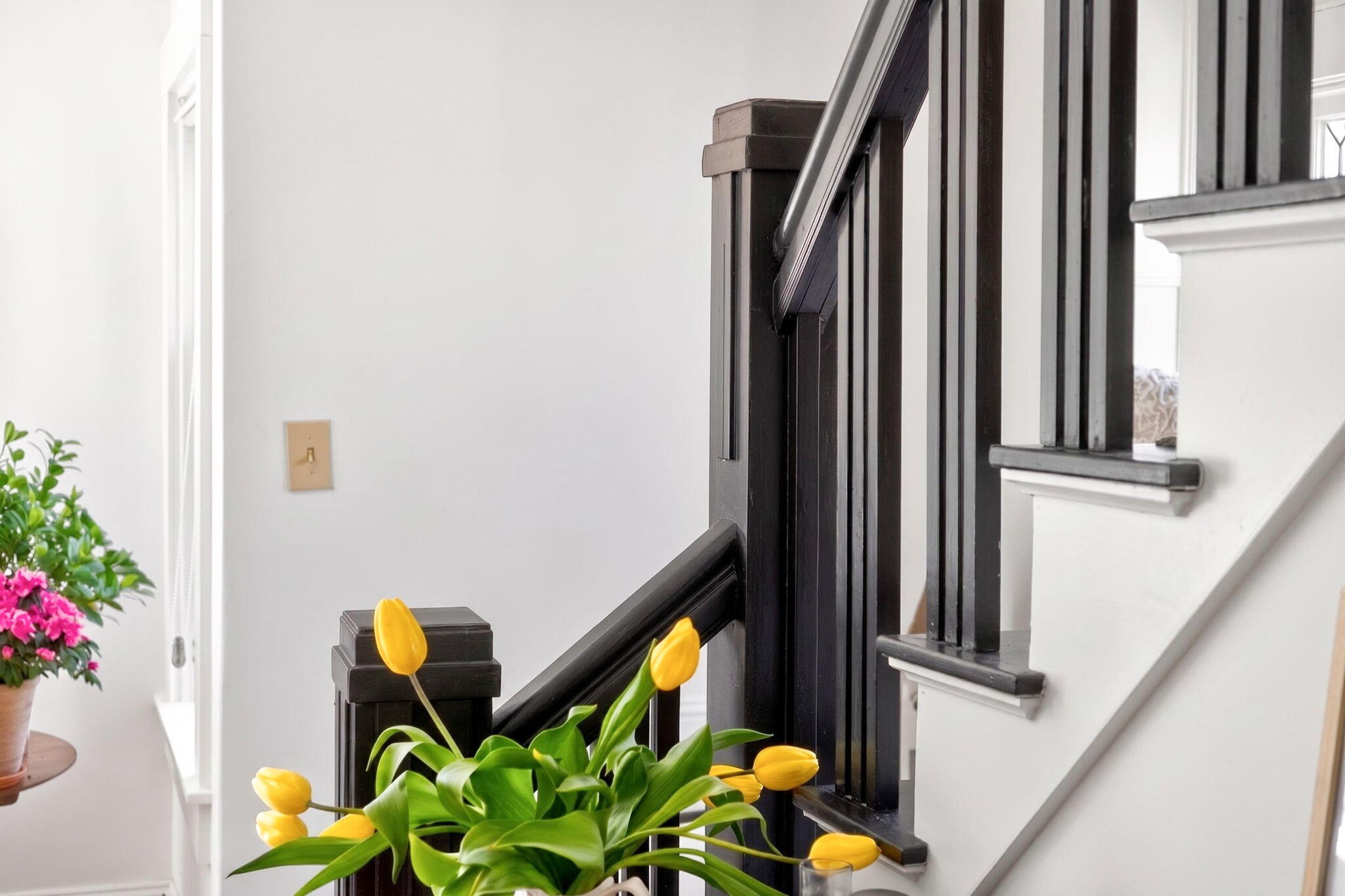 50 Long Road Harwich, MA 02645 - Photo 20 of 80 93-B8P0A5547