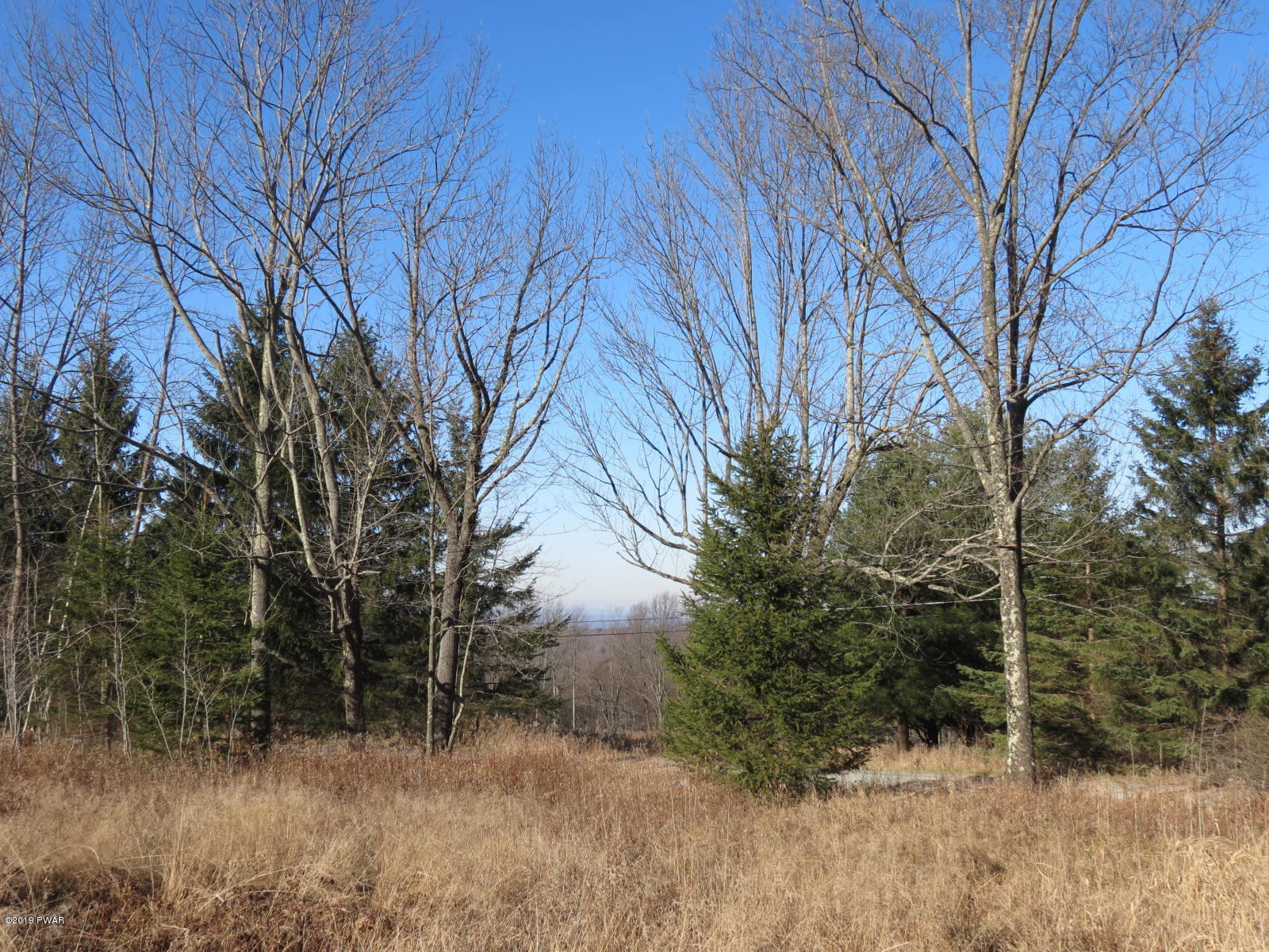 146 Mountain Vw Road Newfoundland, PA 18445 - Photo 6 of 13