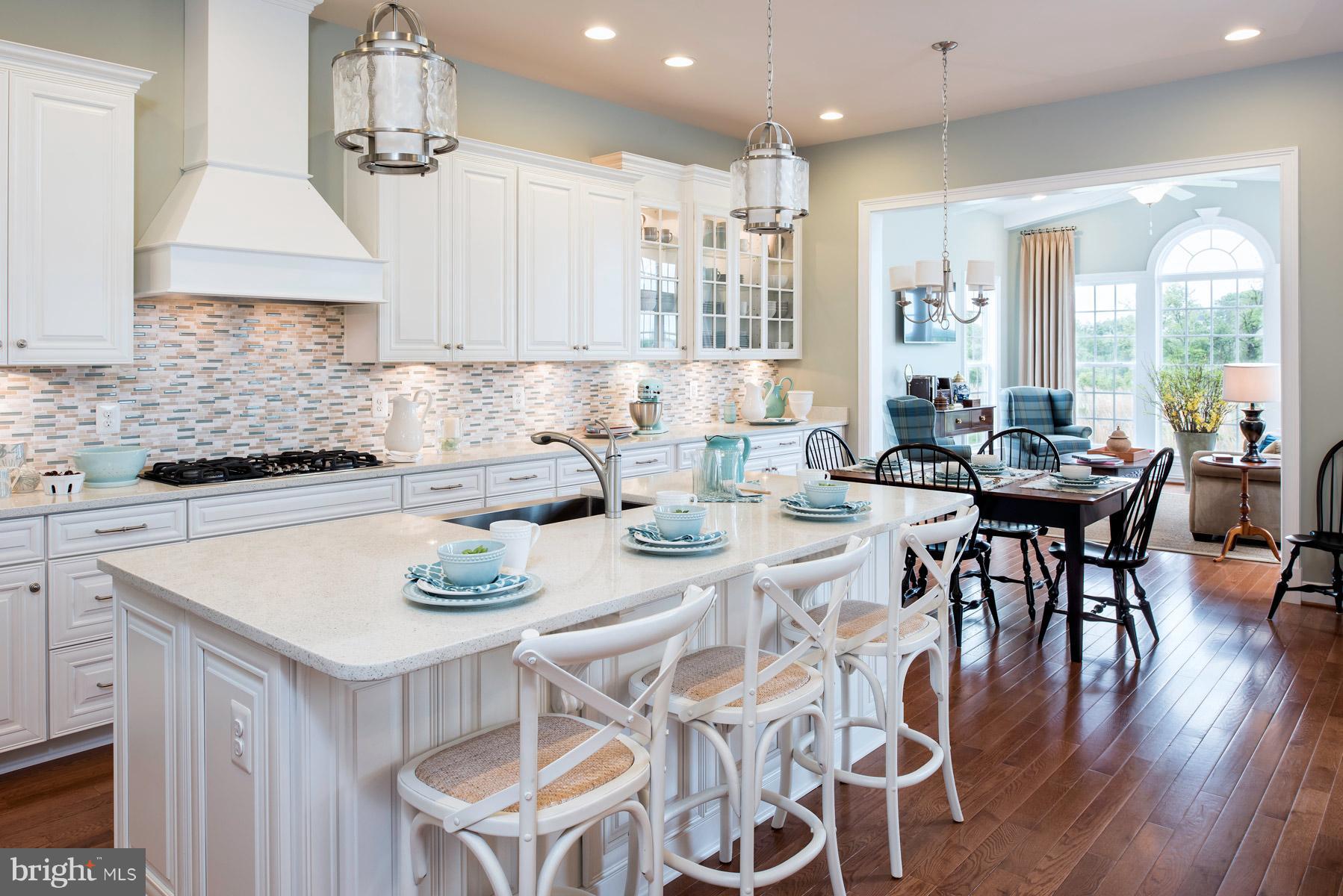 18285 Wild Raspberry Drive Purcellville, VA 20132 - Photo 3 of 12 Stunning white kitchen with quartz countertops