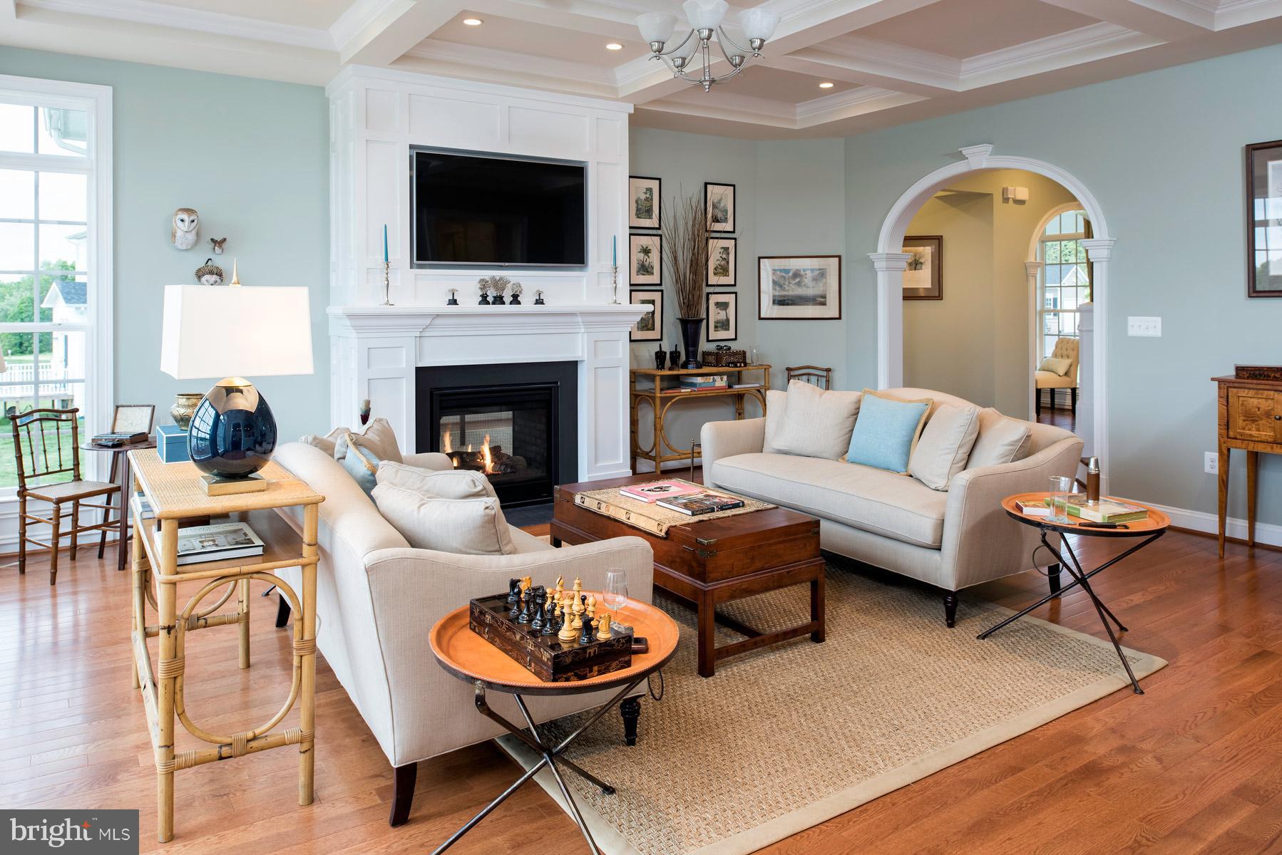 18285 Wild Raspberry Drive Purcellville, VA 20132 - Photo 6 of 12 Gas fireplace with custom surround
