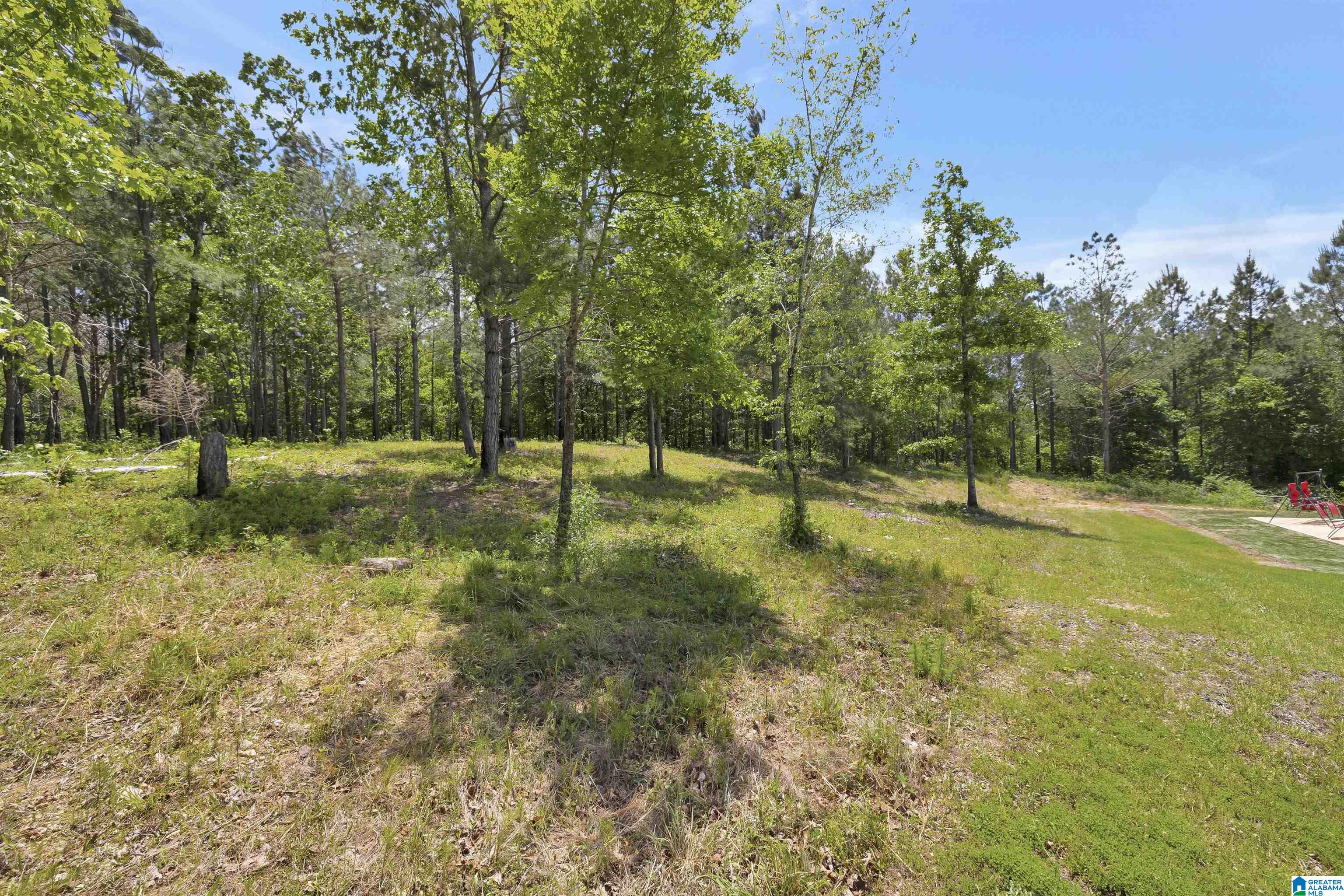 736 Old Beavers Road Cropwell, AL 35054 - Photo 48 of 50