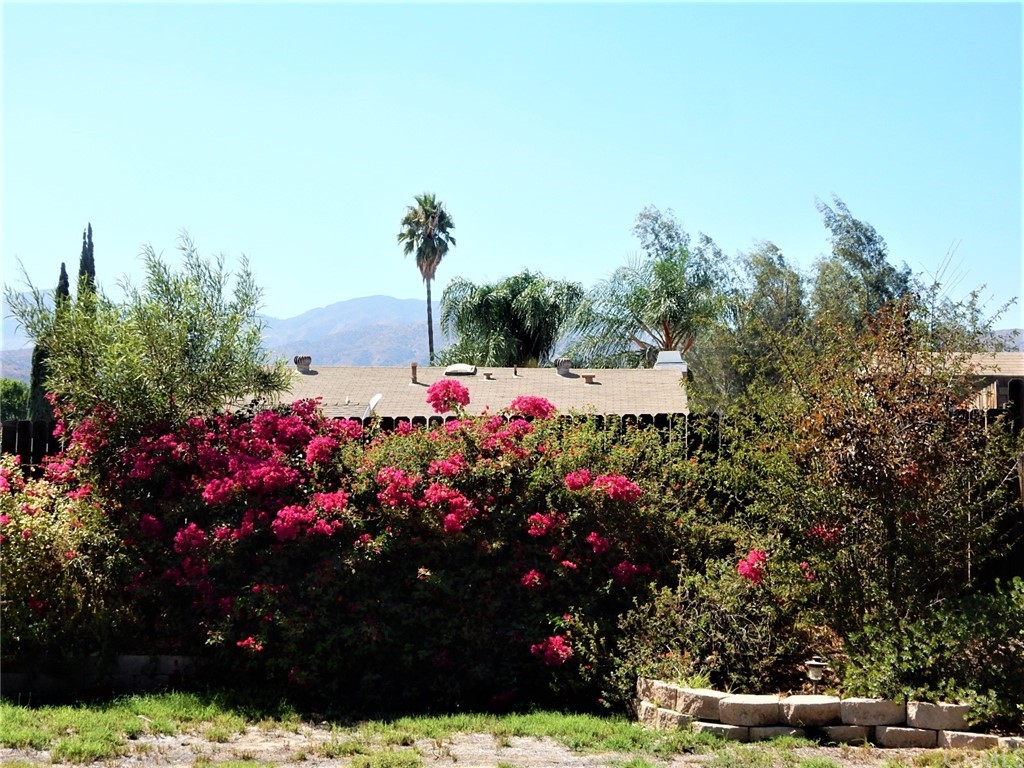 175 North Torn Ranch Road Lake Elsinore, CA 92530 - Photo 31 of 31 Another view of the nearby mountains.