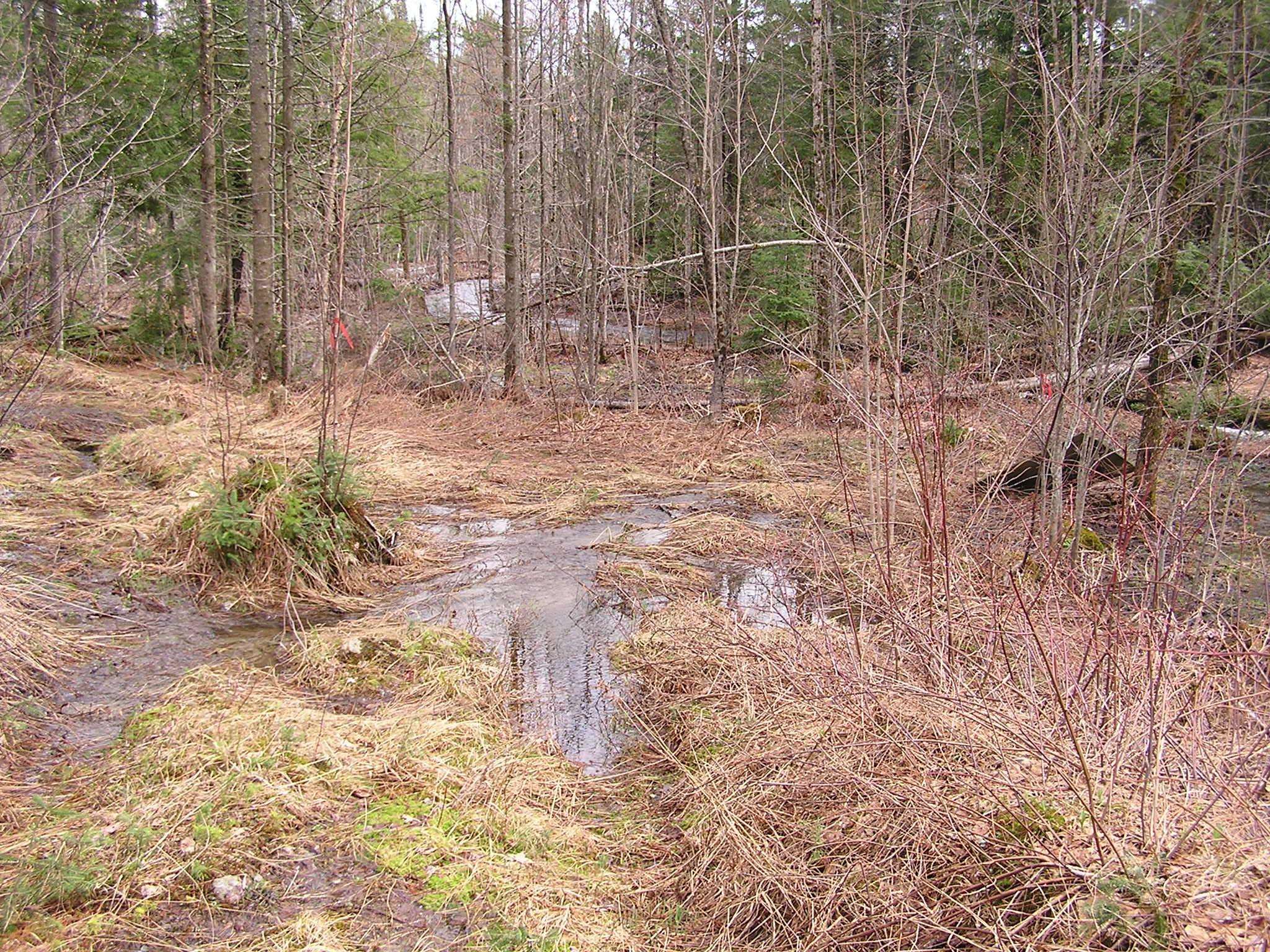 0 Dukes Road Johnson, VT 05656 - Photo 2 of 3