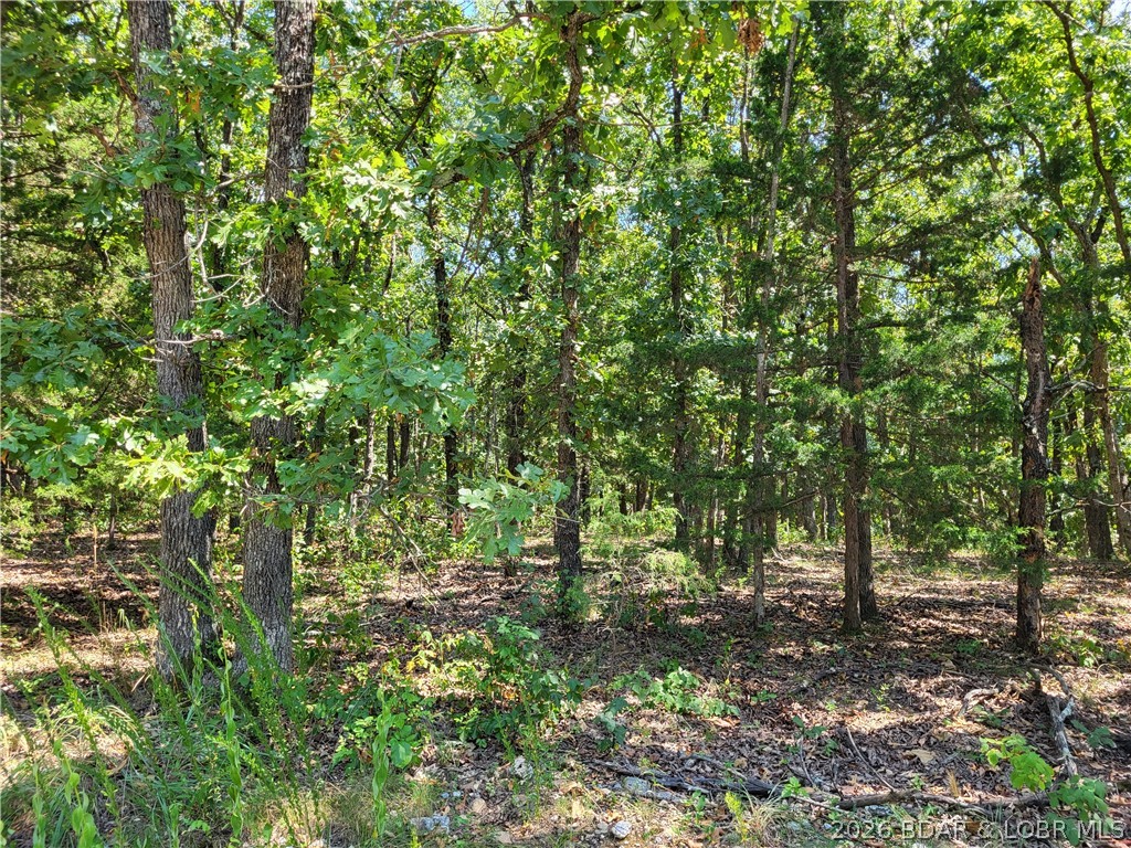 Trinchera Road, Unit 3944 & 3945 Edwards, MO 65326 - Photo 2 of 18 Gallery Image 2