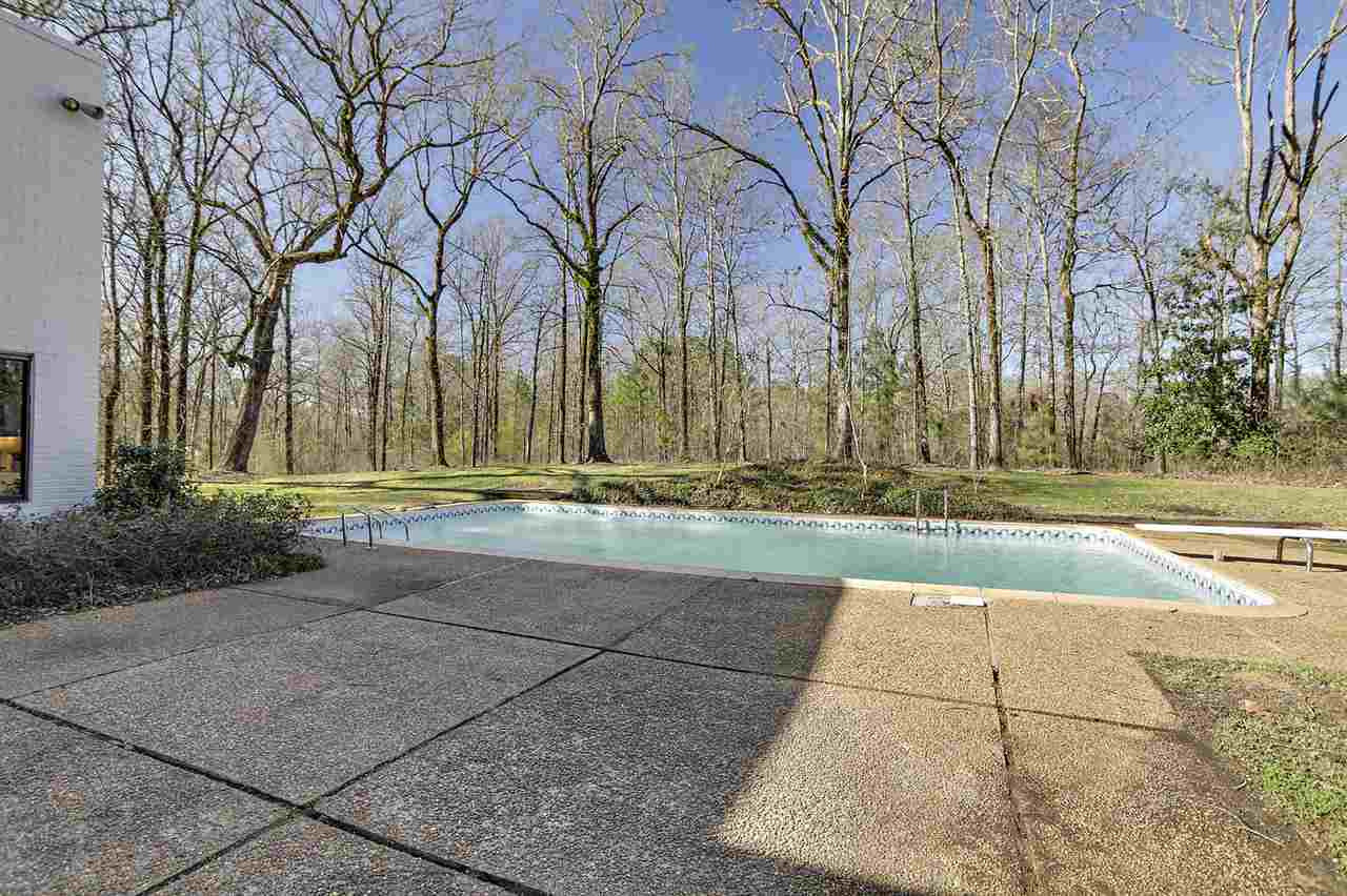 337 Springhill Drive Terry, MS 39170 - Photo 6 of 45 Photo 7