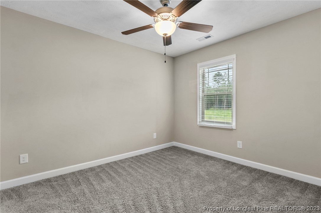 1014 Chason Road Lumber Bridge, NC 28357 - Photo 17 of 30 Gallery Image 17