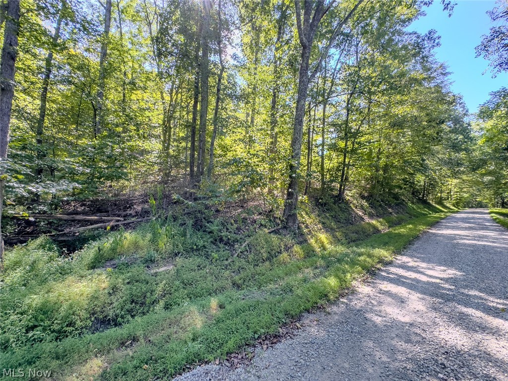 0 Brewer Road Cadiz, OH 43907 - Photo 35 of 37 View of road with a wooded view