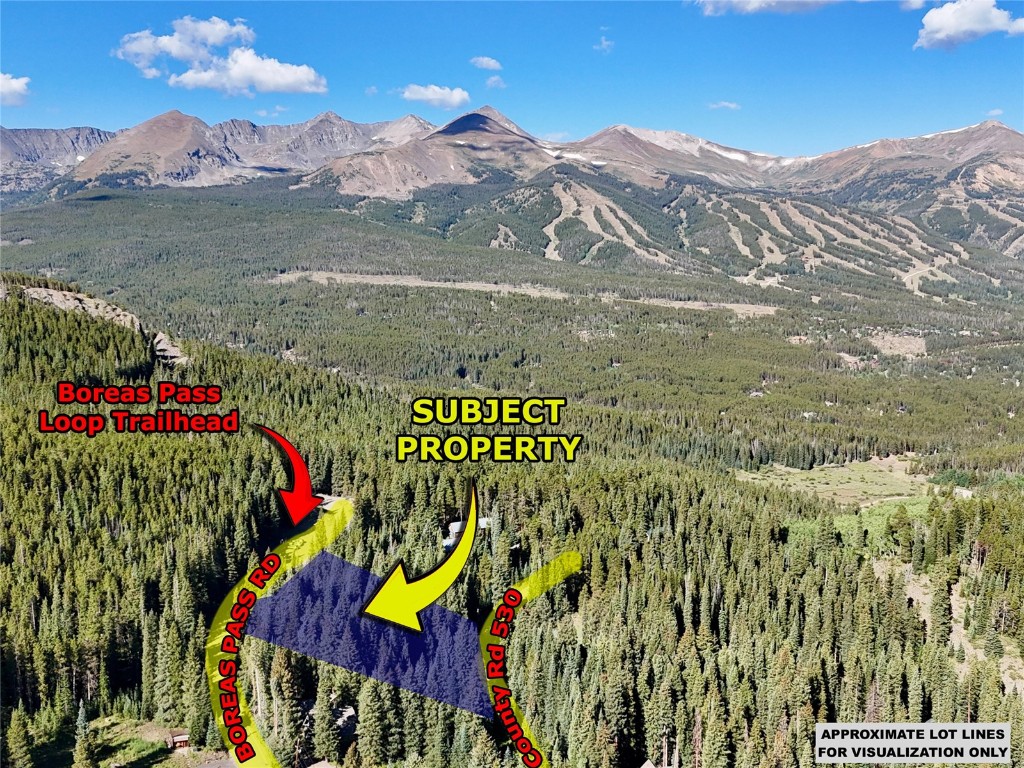 3362 Boreas Pass Road Breckenridge, CO 80424 - Photo 1 of 15
