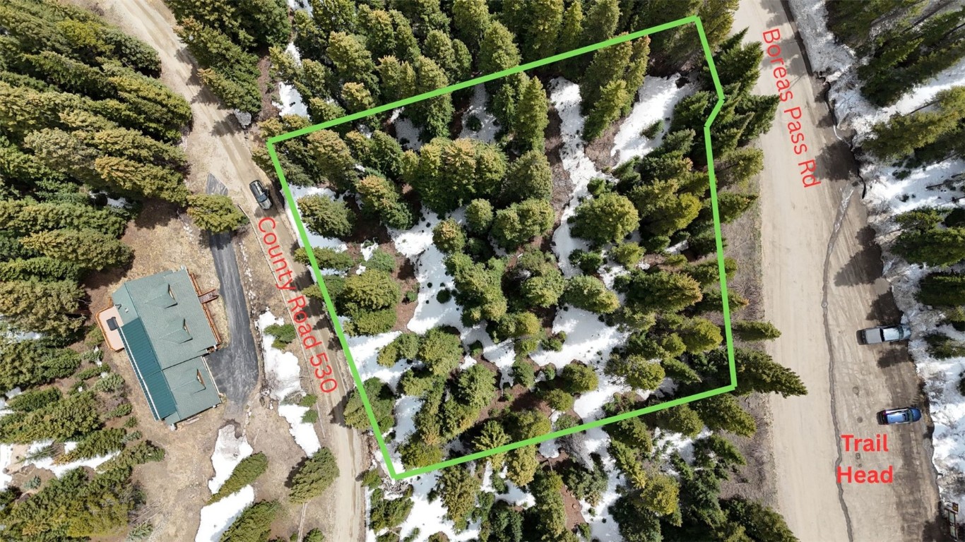 3362 Boreas Pass Road Breckenridge, CO 80424 - Photo 11 of 15 a view of a plant in a garden