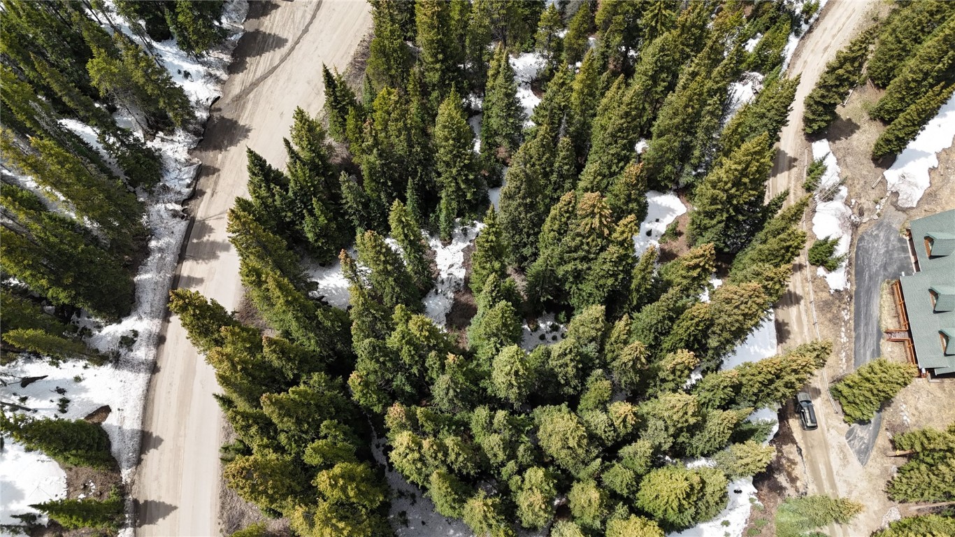 3362 Boreas Pass Road Breckenridge, CO 80424 - Photo 12 of 15 a view of a tree