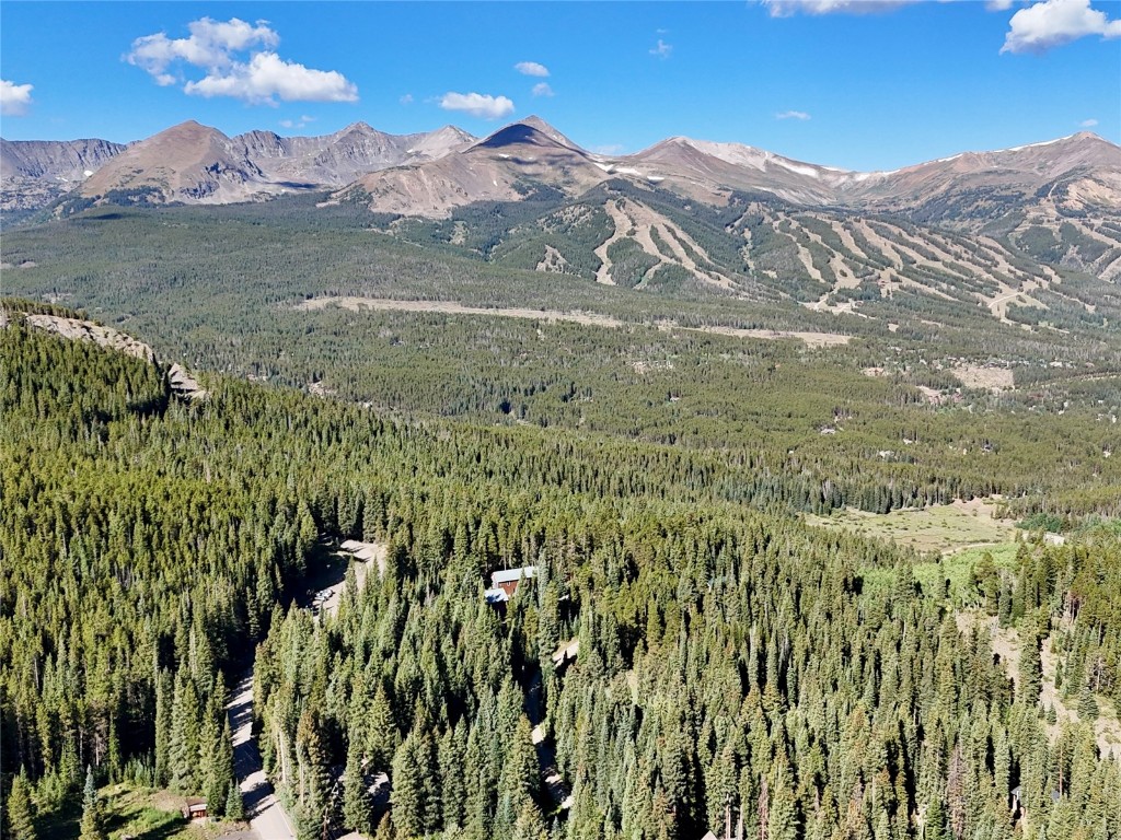 3362 Boreas Pass Road Breckenridge, CO 80424 - Photo 13 of 15 a view of a lush green field with mountains in the background