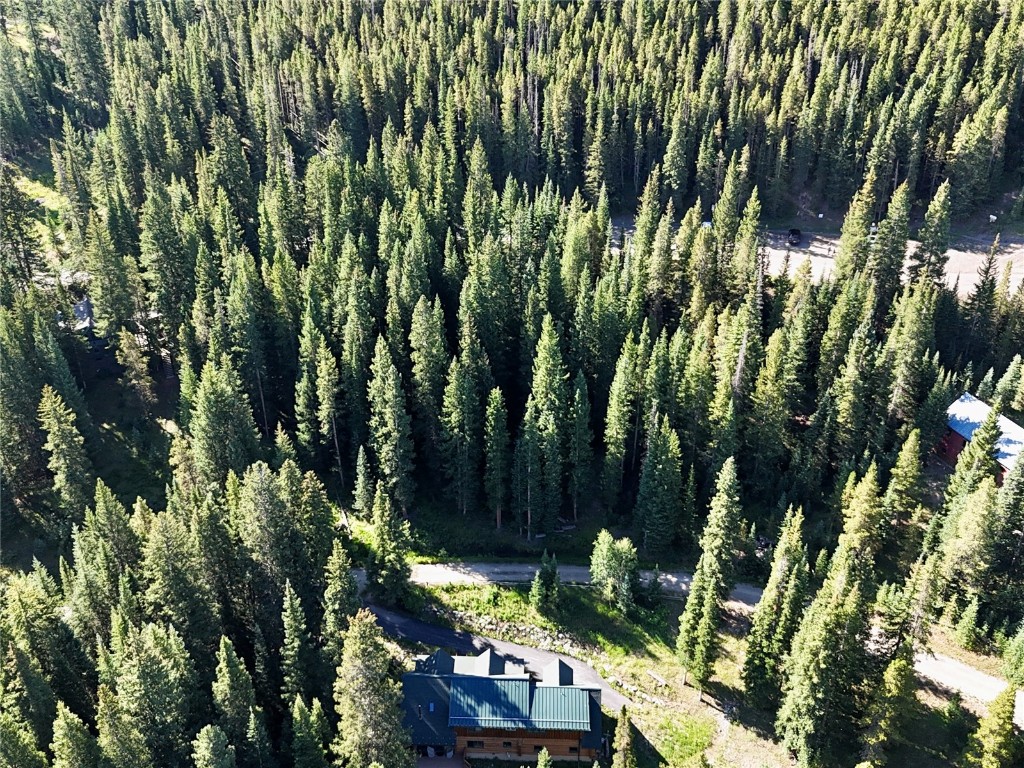 3362 Boreas Pass Road Breckenridge, CO 80424 - Photo 4 of 15 a view of an outdoor space and a yard